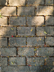 Old stone pathway with fragments of fallen leaves. Rural style background image