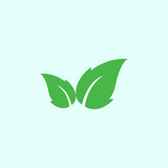Green leaf, Eco icon Vector illustration, flat design