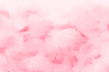 Beautiful abstract light pink feathers on white background,  white feather frame on pink texture...