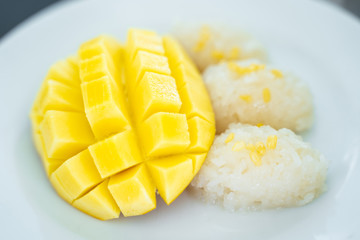 Mango sticky rice Thai dessert,