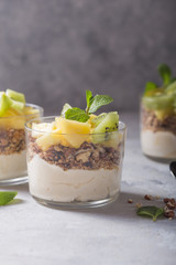 Homemade yogurt parfait with granola, kiwi fruit, pineapple and nuts in a glass for healthy breakfast on concrete background