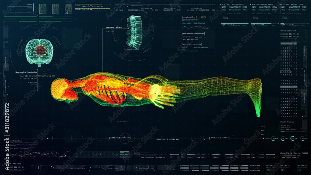 Poster futuristic head up display motion element virtual biomedical holographic human body scan neurologica