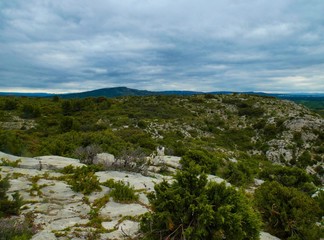 Fototapeta na wymiar Photo of the magnificent landscape offered by the hills of the Alpilles in Provence with the bonus of goats in their natural environment towards the center of the image.