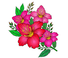 Obraz premium Art of nature, A bouquet of colorful flowers on a white background. hand drawn style vector design illustrations.