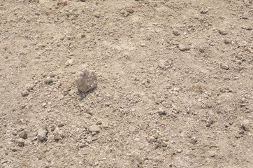 Tierra seca