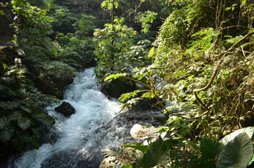 Caudal de agua