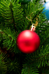 Fototapeta na wymiar New Year's toys on Christmas tree