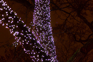 fabulous tree and the garland . glow in the dark