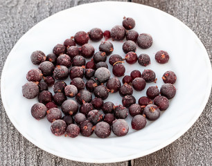 frozen currant berries on a white background