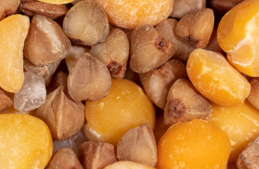 Peas, buckwheat and rice as a background