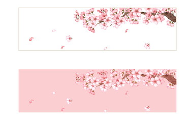 桜フレームセット