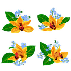 vector drawing orchid flowers