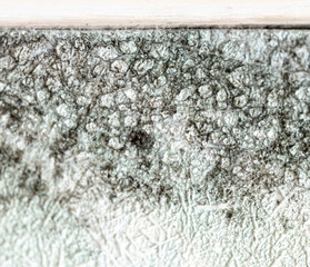 Mold on the wallpaper on the wall in the room