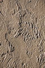 Decorative stucco as abstract background.