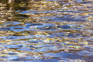 The surface of clear water in a pond