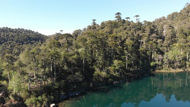 Huerquehue National Park
