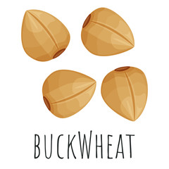 Buckwheat wheat grain isolated illustration, cartoon style vector clip-art.