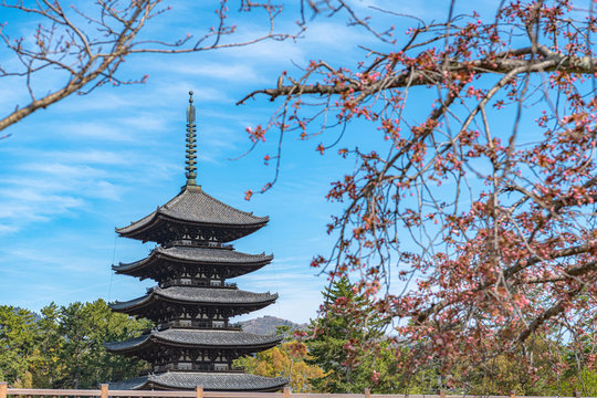 Kofuku Ji Images Browse 1 245 Stock Photos Vectors And Video Adobe Stock