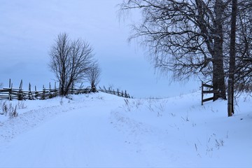Snow, bare trees, a fence of twigs.