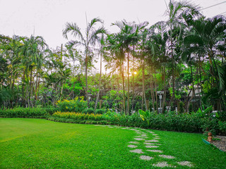 green grass lawn backyard with curve pattern walkway of gravel stepping stone on fresh greenery turf in a garden, flower, plant and palm tree, under sunshine morning and cloudy sky in the public park