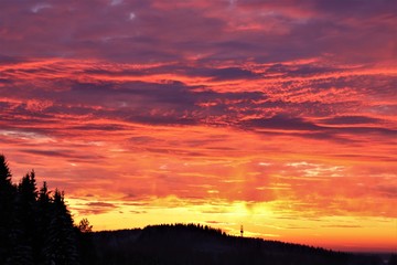 Landscape: high, red-yellow sky at sunset, gray clouds, forest in the snow.