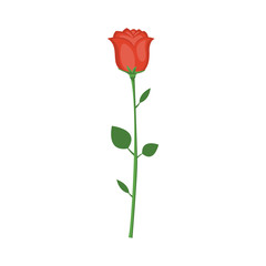 Cartoon red rose. Vector illustration for Valentine's Day.