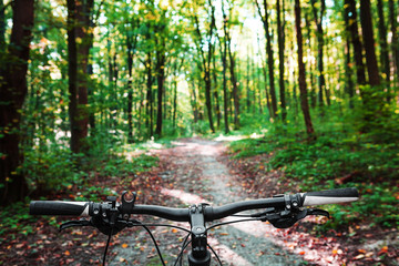 Mountain biking down hill descending fast on bicycle. View from bikers eyes.