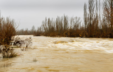 Paisaje invernal de la crecida del Río Bernesga con niebla de fondo. León, España.