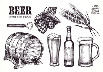 Set of beer objects. Hand drawing set of vector sketches.