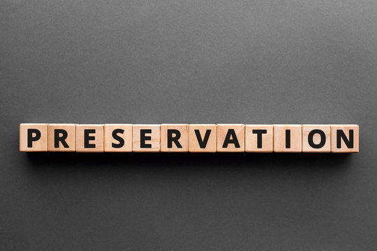 Preservation - word from wooden blocks with letters, process that keeps organic things from decomposing protection preservation concept, gray background