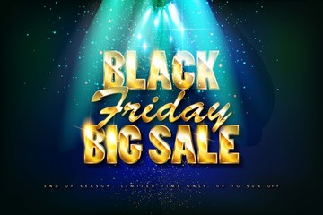 Black Friday Sale Poster