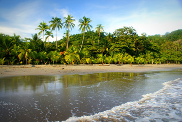 Palm-lined beach at Punta Leona, Costa Rica