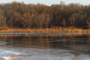 Landscapes of Belarus