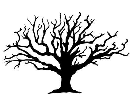 Vector image of dry tree silhouette