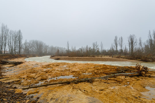 &Aacute;rbol arrastrado por el agua en una crecida durante el invierno en el R&iacute;o Bernesga, Le&oacute;n, Espa&ntilde;a.