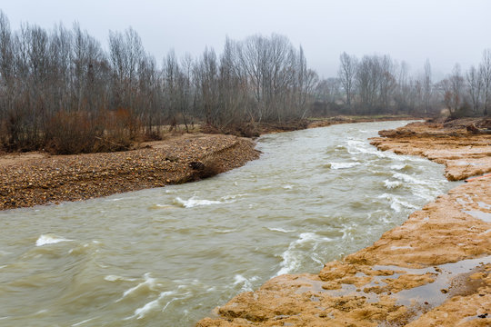 Río Bernesga con las aguas cubiertas de barro durante una crecida y bosque de ribera entre la niebla.