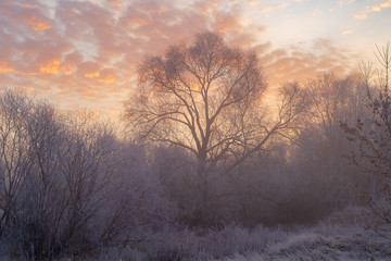 Landscapes of Belarus