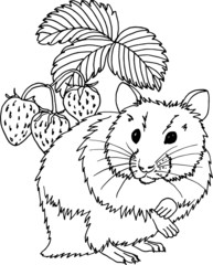 Coloring page with hamster and strawberry