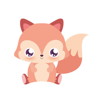 Cute squirrel cartoon vector design
