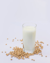Soy and soy milk on a white background.