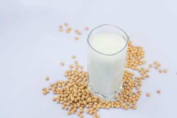 Soy and soy milk on a white background.