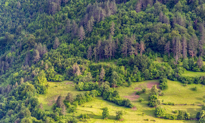 Landscape in the Rodopi mountains 