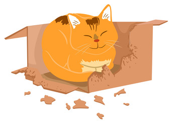 Cat Box Biting Illustration