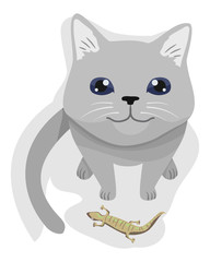 Cat Pet Gift Lizard Illustration