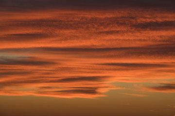 Fototapeta premium Texture of orange clouds at sunrise