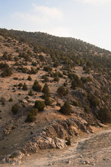 View of a dessert like hill