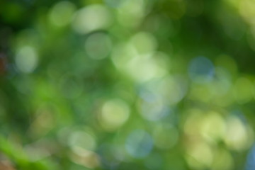 abstract background with bokeh