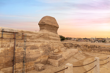 Fototapeta na wymiar The Great Sphinx and the buildings of Giza, Cairo, Egypt