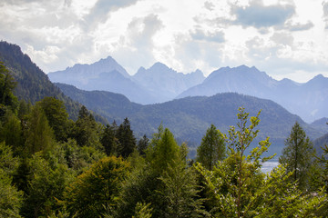 The Bavarian alps, a lake and lots of green forest seen from the Neuschwanstein castle