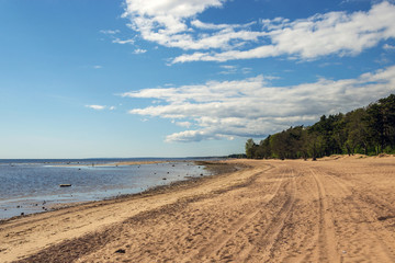 Gulf of Finland at low tide